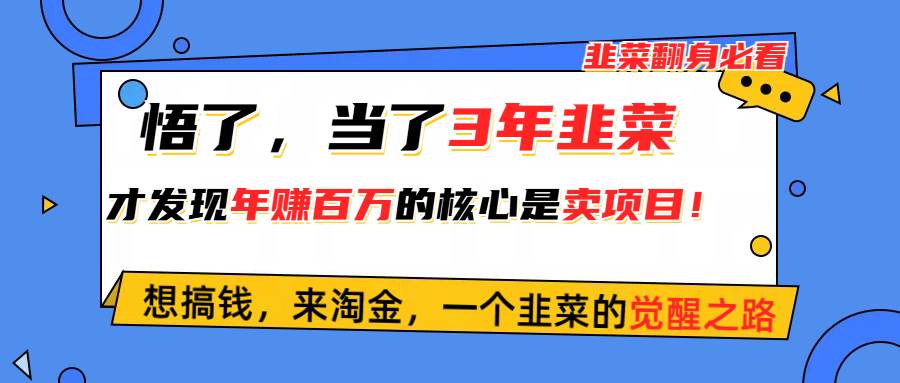悟了，当了3年韭菜，才发现网赚圈年赚100万的核心是卖项目，含泪分享！网创吧-网创项目资源站-副业项目-创业项目-搞钱项目念念云网创