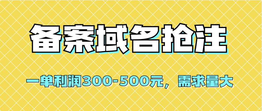 【全网首发】备案域名抢注，一单利润300-500元，需求量大网创吧-网创项目资源站-副业项目-创业项目-搞钱项目念念云网创