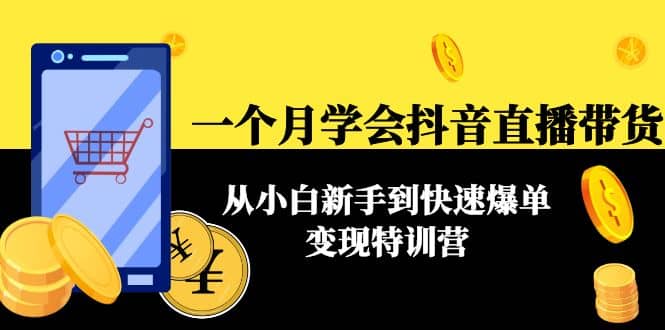 一个月学会抖音直播带货：从小白新手到快速爆单变现特训营(63节课)网创吧-网创项目资源站-副业项目-创业项目-搞钱项目念念云网创
