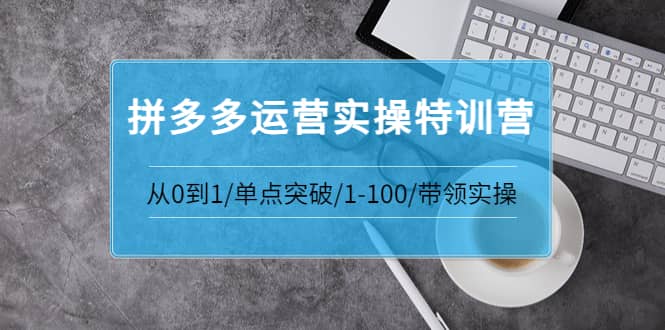 拼多多运营实操特训营：从0到1/单点突破/1-100/带领实操 价值2980元网创吧-网创项目资源站-副业项目-创业项目-搞钱项目念念云网创