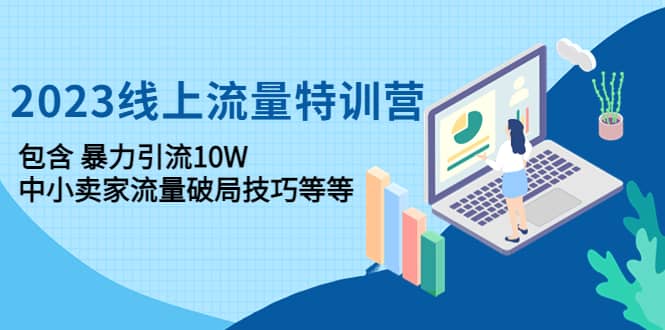 2023线上流量特训营：中小卖家流量破局技巧等等网创吧-网创项目资源站-副业项目-创业项目-搞钱项目念念云网创