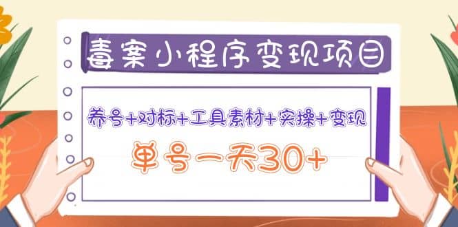 毒案小程序变现项目：养号+对标+工具素材+实操+变现网创吧-网创项目资源站-副业项目-创业项目-搞钱项目念念云网创