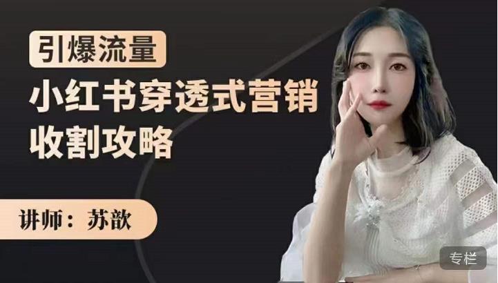 小红书穿透式营销收割攻略，引爆流量，助你玩转小红书网创吧-网创项目资源站-副业项目-创业项目-搞钱项目念念云网创