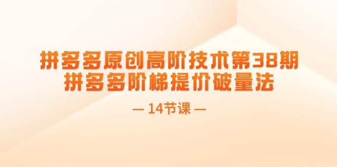 拼多多原创高阶技术第38期，拼多多阶梯提价破量法（14节课）网创吧-网创项目资源站-副业项目-创业项目-搞钱项目念念云网创