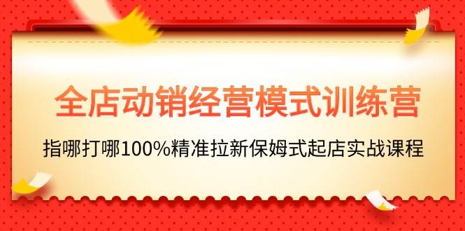 全店动销-经营模式训练营，指哪打哪100%精准拉新保姆式起店实战课程网创吧-网创项目资源站-副业项目-创业项目-搞钱项目念念云网创