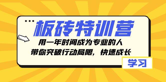 板砖特训营，用一年时间成为专业的人，带你突破行动局限，快速成长网创吧-网创项目资源站-副业项目-创业项目-搞钱项目念念云网创