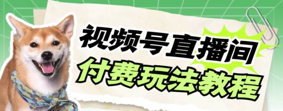 视频号美女付费无人直播，轻松日入500+【详细玩网创吧-网创项目资源站-副业项目-创业项目-搞钱项目念念云网创
