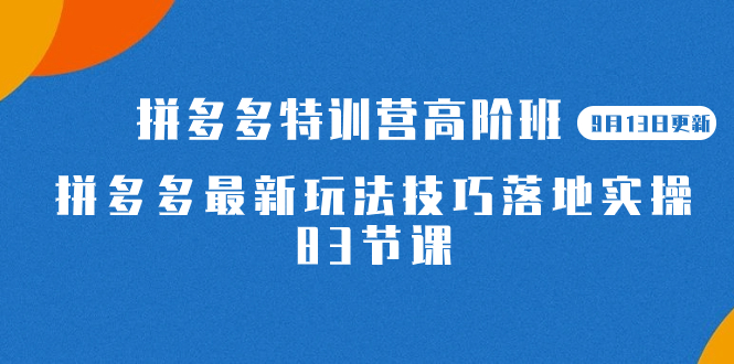 2023拼多多·特训营高阶班【9月13日更新】拼多多最新玩法技巧落地实操-83节网创吧-网创项目资源站-副业项目-创业项目-搞钱项目念念云网创
