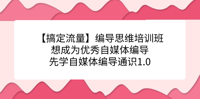 【搞定流量】编导思维培训班，想成为优秀自媒体编导先学自媒体编导通识1.0网创吧-网创项目资源站-副业项目-创业项目-搞钱项目念念云网创