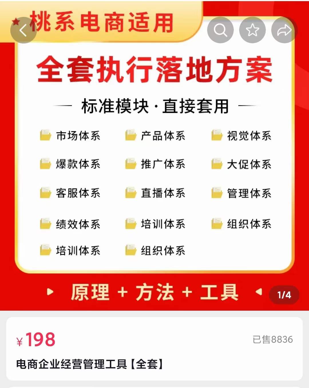 外面卖198·电商企业经营管理工具：全套执行落地方案 标准模块·直接套用网创吧-网创项目资源站-副业项目-创业项目-搞钱项目念念云网创