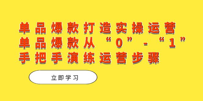 单品爆款打造实操运营，单品爆款从“0”-“1”手把手演练运营步骤网创吧-网创项目资源站-副业项目-创业项目-搞钱项目念念云网创