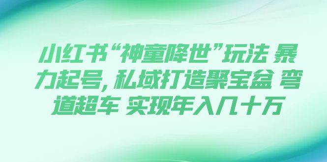 小红书“神童降世”玩法 暴力起号,私域打造聚宝盆 弯道超车 实现年入几十万网创吧-网创项目资源站-副业项目-创业项目-搞钱项目念念云网创