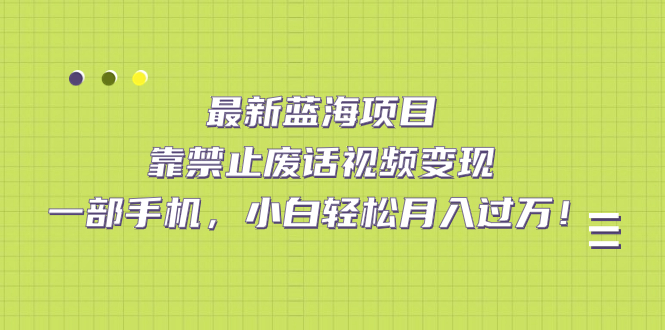 最新蓝海项目，靠禁止废话视频变现，一部手机，小白轻松月入过万！网创吧-网创项目资源站-副业项目-创业项目-搞钱项目念念云网创