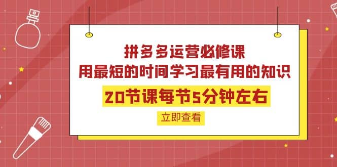 拼多多运营必修课：20节课每节5分钟左右，用最短的时间学习最有用的知识网创吧-网创项目资源站-副业项目-创业项目-搞钱项目念念云网创