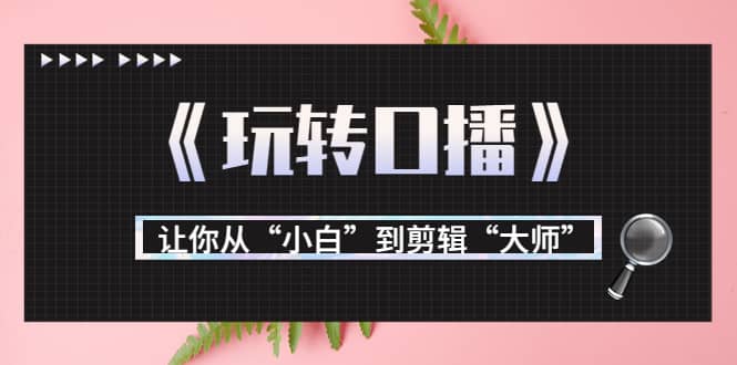 月营业额700万+大佬教您《玩转口播》让你从“小白”到剪辑“大师”网创吧-网创项目资源站-副业项目-创业项目-搞钱项目念念云网创