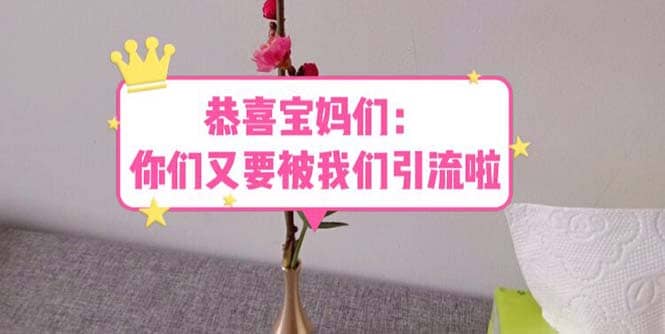 恭喜宝妈们：你们又要被我们引流了（教程+222g资料）网创吧-网创项目资源站-副业项目-创业项目-搞钱项目念念云网创