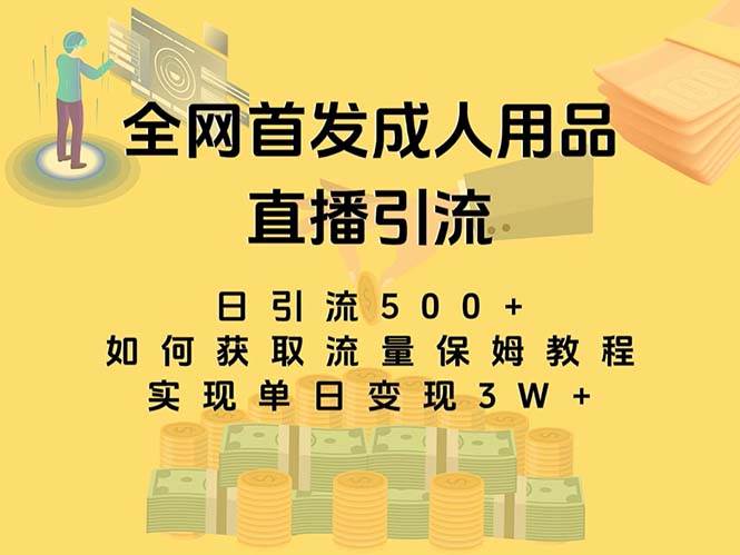 最新全网独创首发，成人用品直播引流获客暴力玩法，单日变现3w保姆级教程网创吧-网创项目资源站-副业项目-创业项目-搞钱项目念念云网创