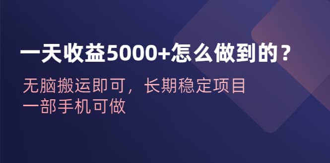 一天收益5000+怎么做到的？无脑搬运即可，长期稳定项目，一部手机可做网创吧-网创项目资源站-副业项目-创业项目-搞钱项目念念云网创