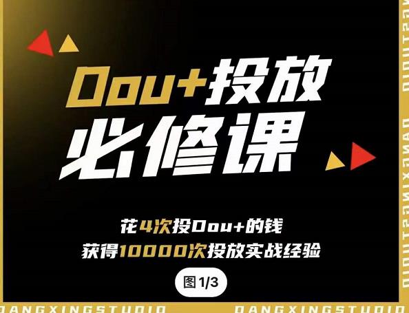 代同学DOU+投放训练营，用付费流量撬动大额自然流量，过得超额变现转化网创吧-网创项目资源站-副业项目-创业项目-搞钱项目念念云网创