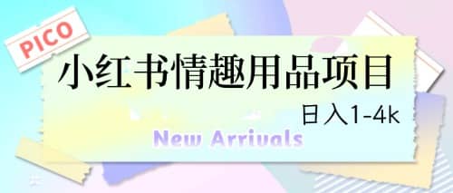 最新小红书情趣用品项目，日入1-4k网创吧-网创项目资源站-副业项目-创业项目-搞钱项目念念云网创