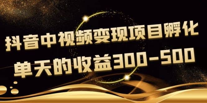 黄岛主《抖音中视频变现项目孵化》单天的收益300-500 操作简单粗暴网创吧-网创项目资源站-副业项目-创业项目-搞钱项目念念云网创