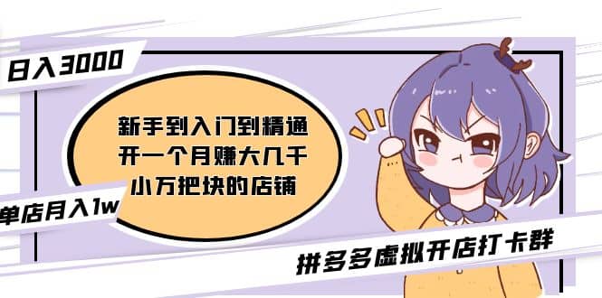 拼多多虚拟开店打卡群：新手到入门到精通网创吧-网创项目资源站-副业项目-创业项目-搞钱项目念念云网创
