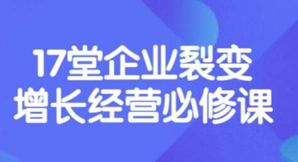 《盈利增长17堂必修课》企业裂变增长的经营智慧，带你了解增长的本质网创吧-网创项目资源站-副业项目-创业项目-搞钱项目念念云网创