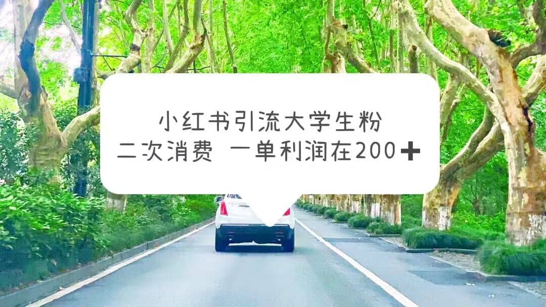 小红书引流大学生粉，变现项目，一单利润在200+（教程+资源）网创吧-网创项目资源站-副业项目-创业项目-搞钱项目念念云网创