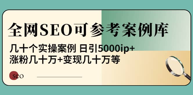 《全网SEO可参考案例库》几十个实操案例网创吧-网创项目资源站-副业项目-创业项目-搞钱项目念念云网创