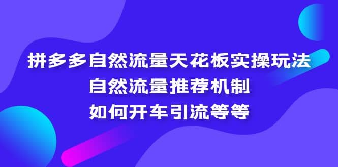 拼多多自然流量天花板实操玩法：自然流量推荐机制，如何开车引流等等网创吧-网创项目资源站-副业项目-创业项目-搞钱项目念念云网创