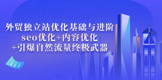 外贸独立站优化基础与进阶，seo优化+内容优化+引爆自然流量终极武器网创吧-网创项目资源站-副业项目-创业项目-搞钱项目念念云网创