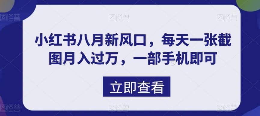 八月新风口，小红书虚拟项目一天收入1000+，实战揭秘网创吧-网创项目资源站-副业项目-创业项目-搞钱项目念念云网创
