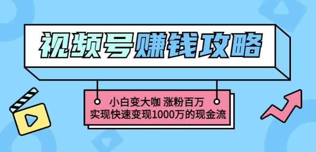 玩转微信视频号赚钱：小白变大咖涨粉百万实现快速变现1000万的现金流网创吧-网创项目资源站-副业项目-创业项目-搞钱项目念念云网创