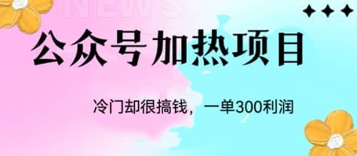 冷门公众号加热项目，一单利润300+网创吧-网创项目资源站-副业项目-创业项目-搞钱项目念念云网创
