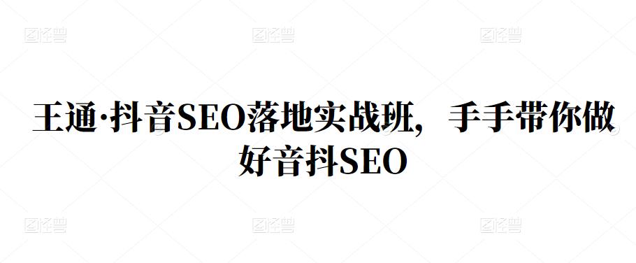 王通·抖音SEO落地实战班，手‬手带你做好音抖‬‬SEO网创吧-网创项目资源站-副业项目-创业项目-搞钱项目念念云网创