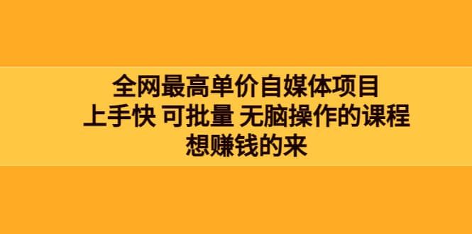 全网最单高价自媒体项目：上手快 可批量 无脑操作的课程，想赚钱的来网创吧-网创项目资源站-副业项目-创业项目-搞钱项目念念云网创