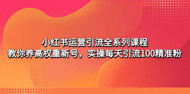 小红书运营引流全系列课程：教你养高权重新号网创吧-网创项目资源站-副业项目-创业项目-搞钱项目念念云网创