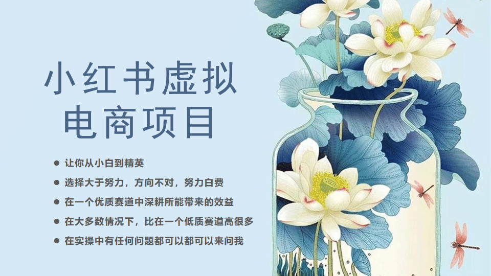 小红书虚拟电商从0到1，让你从小白到精英（20节实操课程）网创吧-网创项目资源站-副业项目-创业项目-搞钱项目念念云网创