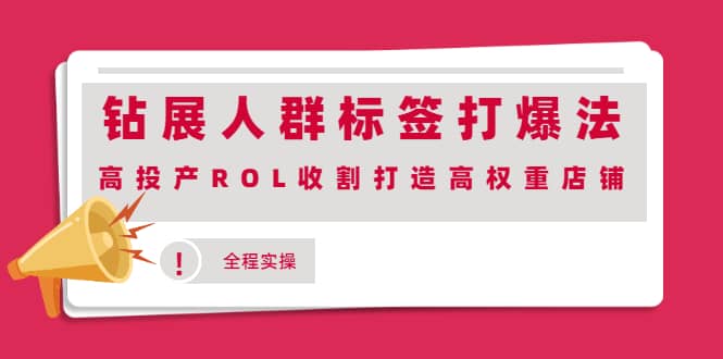 钻展人群标签打爆法，高投产ROL收割打造高权重店铺(全程实操)网创吧-网创项目资源站-副业项目-创业项目-搞钱项目念念云网创