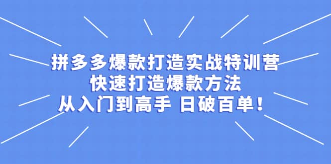 拼多多爆款打造实战特训营：快速打造爆款方法，从入门到高手 日破百单网创吧-网创项目资源站-副业项目-创业项目-搞钱项目念念云网创