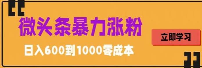 微头条暴力涨粉技巧搬运文案就能涨几万粉丝，简单0成本，日赚600网创吧-网创项目资源站-副业项目-创业项目-搞钱项目念念云网创