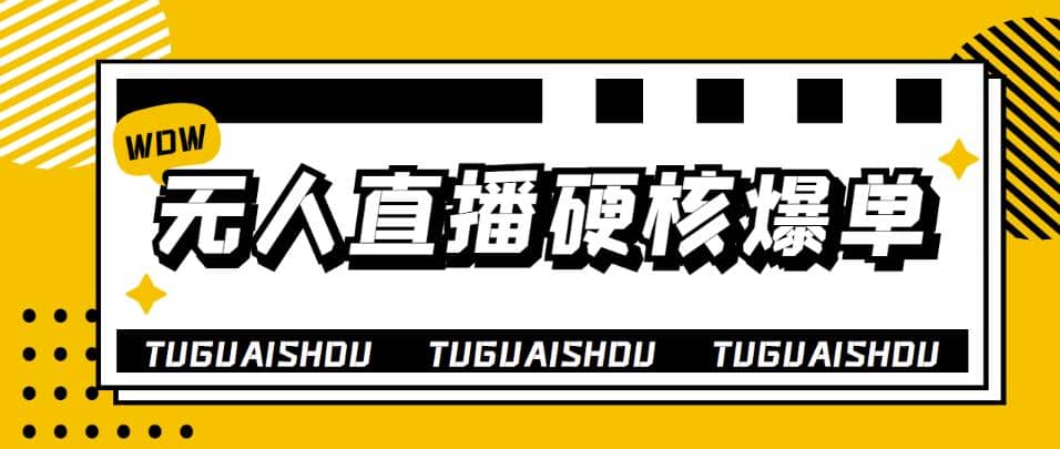 大飞无人直播硬核爆单技术，轻松玩转无人直播网创吧-网创项目资源站-副业项目-创业项目-搞钱项目念念云网创