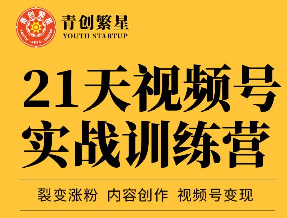 张萌21天视频号实战训练营，裂变涨粉、内容创作、视频号变现 价值298元网创吧-网创项目资源站-副业项目-创业项目-搞钱项目念念云网创