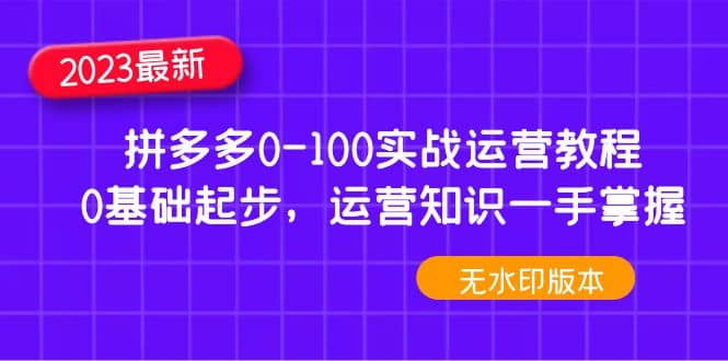 2023拼多多0-100实战运营教程，0基础起步，运营知识一手掌握（无水印）网创吧-网创项目资源站-副业项目-创业项目-搞钱项目念念云网创