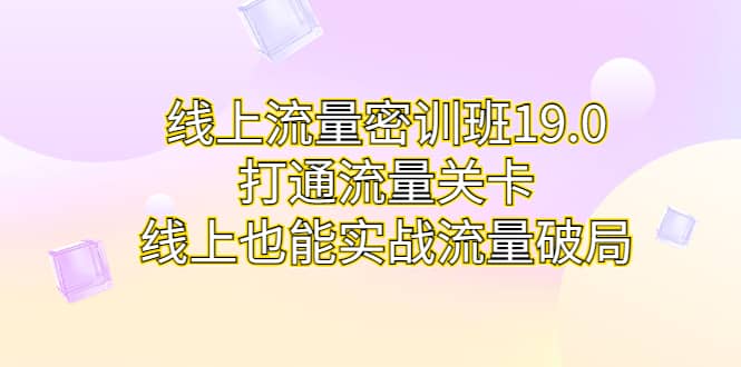 线上流量密训班19.0，打通流量关卡，线上也能实战流量破局网创吧-网创项目资源站-副业项目-创业项目-搞钱项目念念云网创
