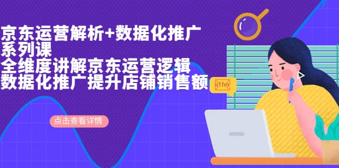 京东运营解析与数据化推广系列课，全维度讲解京东运营逻辑+数据化推广提升店铺销售额网创吧-网创项目资源站-副业项目-创业项目-搞钱项目念念云网创