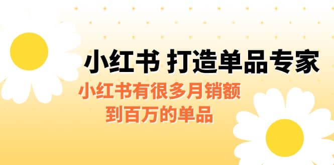 某公众号付费文章《小红书 打造单品专家》小红书有很多月销额到百万的单品网创吧-网创项目资源站-副业项目-创业项目-搞钱项目念念云网创