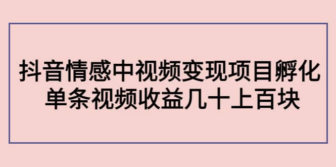 抖音情感中视频变现项目孵化网创吧-网创项目资源站-副业项目-创业项目-搞钱项目念念云网创