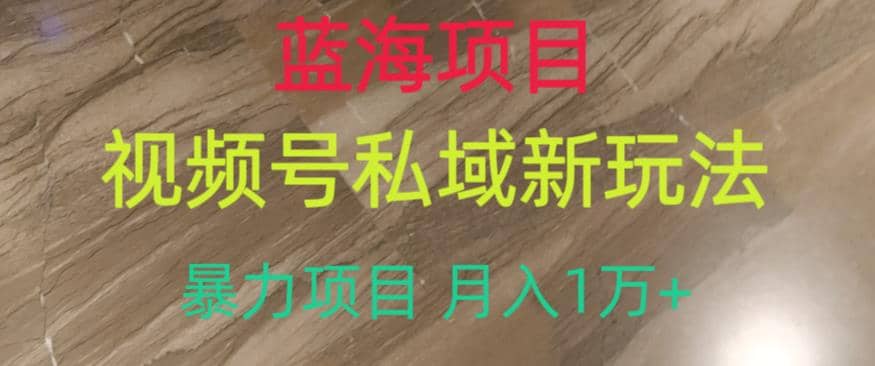 蓝海项目，视频号私域新玩法，暴力项目月入1万+【揭秘】网创吧-网创项目资源站-副业项目-创业项目-搞钱项目念念云网创