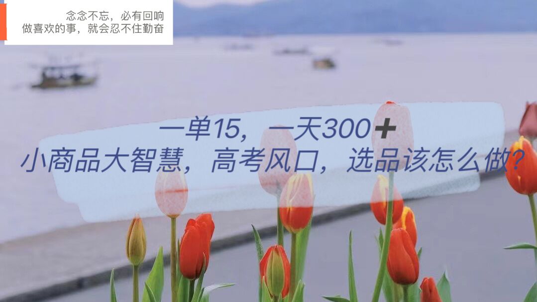 一单15，一天300+，小商品大智慧，高考风口，选品该怎么布局网创吧-网创项目资源站-副业项目-创业项目-搞钱项目念念云网创